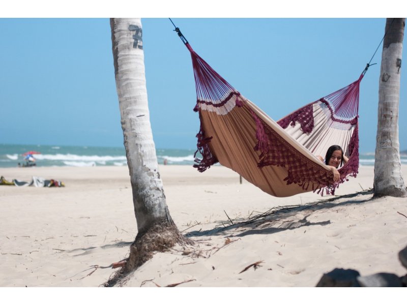 Family BossaNova bordeaux