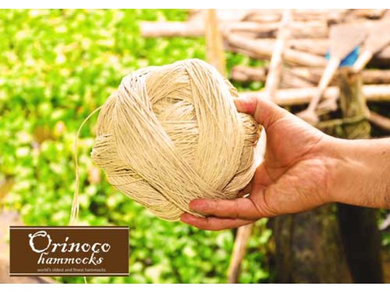 Moriche Palm σχοινί