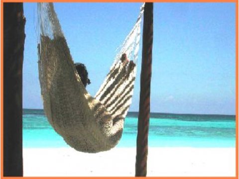 Customer's best choices Hammocks