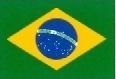 Brazilian flag